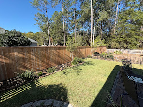 Backyard wood privacy fence backing up to the woods